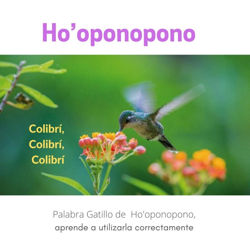 colibri-colibri-colibri
